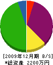 ハヤシ電工 貸借対照表 2009年12月期