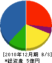 アトム 貸借対照表 2010年12月期