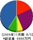 長田産業 貸借対照表 2009年11月期