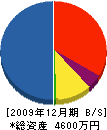 林原工業 貸借対照表 2009年12月期