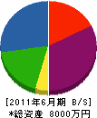 竹安商店 貸借対照表 2011年6月期