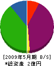 武藤組 貸借対照表 2009年5月期