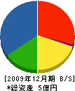 北日本計装制御 貸借対照表 2009年12月期