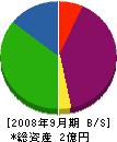 大翔コーポレーション 貸借対照表 2008年9月期