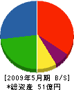 篠田 貸借対照表 2009年5月期