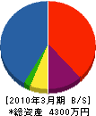 公園沖縄 貸借対照表 2010年3月期
