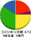 松本鉄工所 貸借対照表 2012年12月期