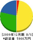 柴田工務所 貸借対照表 2009年12月期