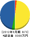 静岡計測エンジニアリング 貸借対照表 2012年9月期