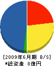 竹内建設 貸借対照表 2009年6月期