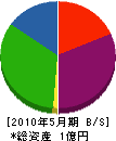 渡辺建設工業 貸借対照表 2010年5月期
