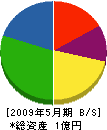 樽味商会 貸借対照表 2009年5月期