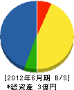 松橋建材 貸借対照表 2012年6月期