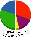 志田・金新 貸借対照表 2012年5月期