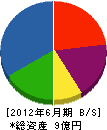 田中建設工業 貸借対照表 2012年6月期