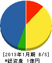 藤井 貸借対照表 2013年1月期