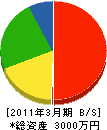 柴田美巧 貸借対照表 2011年3月期