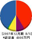 加川建設 貸借対照表 2007年12月期