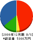 岩崎工務店 貸借対照表 2008年12月期