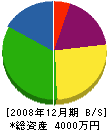 済木土建 貸借対照表 2008年12月期