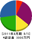 泉新電設 貸借対照表 2011年4月期