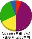 櫻木工業 貸借対照表 2011年5月期