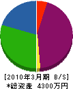 大成アクシス 貸借対照表 2010年3月期