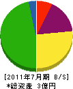 筑紫総合開発 貸借対照表 2011年7月期