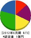 千代田開発 貸借対照表 2012年6月期