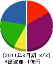 ミタケ 貸借対照表 2011年6月期