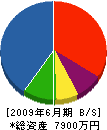 昭和電気 貸借対照表 2009年6月期
