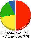柴田美巧 貸借対照表 2012年3月期