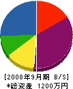 橋本電気工業所 貸借対照表 2008年9月期