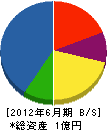 川崎電興 貸借対照表 2012年6月期