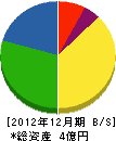 南日本電設工業 貸借対照表 2012年12月期