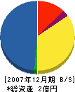 北海道農林土木コンサルタント 貸借対照表 2007年12月期