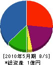 角谷技建 貸借対照表 2010年5月期