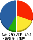 大阪海洋潜水事業（同） 貸借対照表 2010年6月期