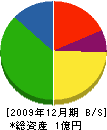 シライシ 貸借対照表 2009年12月期