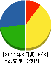 駒津組 貸借対照表 2011年6月期