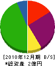 小林プランニング 貸借対照表 2010年12月期