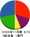 タイセイ 貸借対照表 2009年11月期