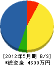 井之坂工業 貸借対照表 2012年5月期
