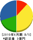 岩田組 貸借対照表 2010年6月期