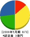犬塚石材本店 貸借対照表 2008年5月期