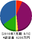 紫藤 貸借対照表 2010年7月期