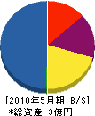 新日本建設 貸借対照表 2010年5月期