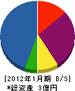 斉良工業 貸借対照表 2012年1月期