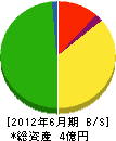 九州都市システム 貸借対照表 2012年6月期