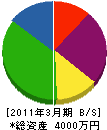 庭正庭芸研究所 貸借対照表 2011年3月期